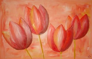 koperentulpen
