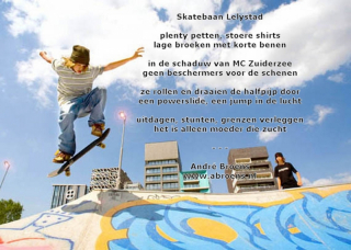 skatebaan-lelystad